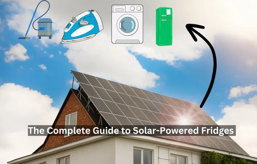 The Complete Guide to Solar-Powered Fridges 